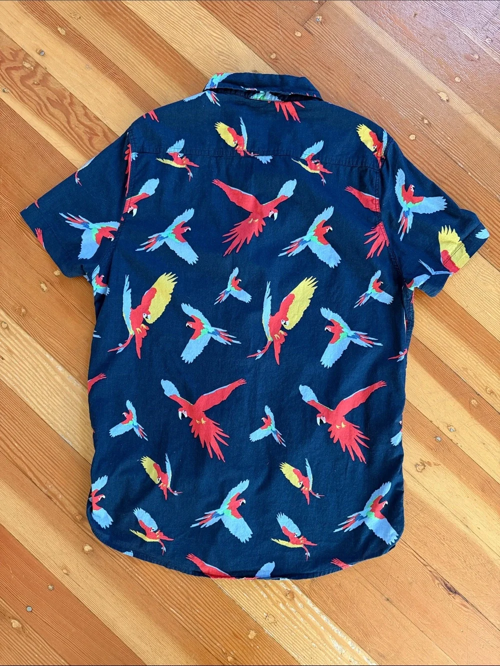 Sovereign Code Blue Parrot Short Sleeve Button Down Shirt‎ Large